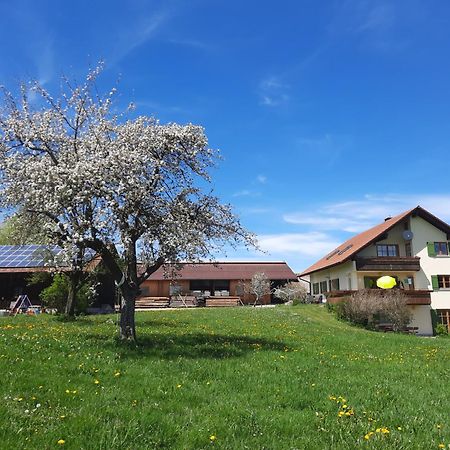 Appartamento Bauer Haug Dietmannsried Esterno foto