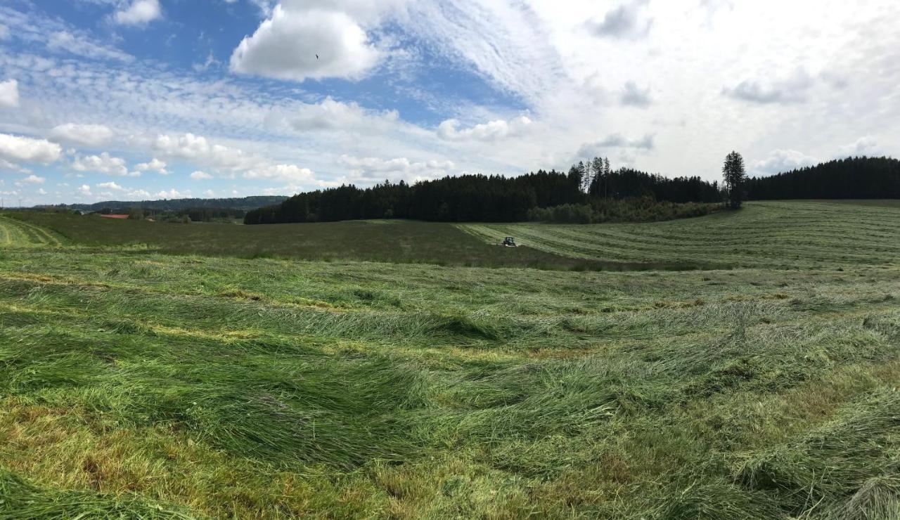 Appartamento Bauer Haug Dietmannsried Esterno foto